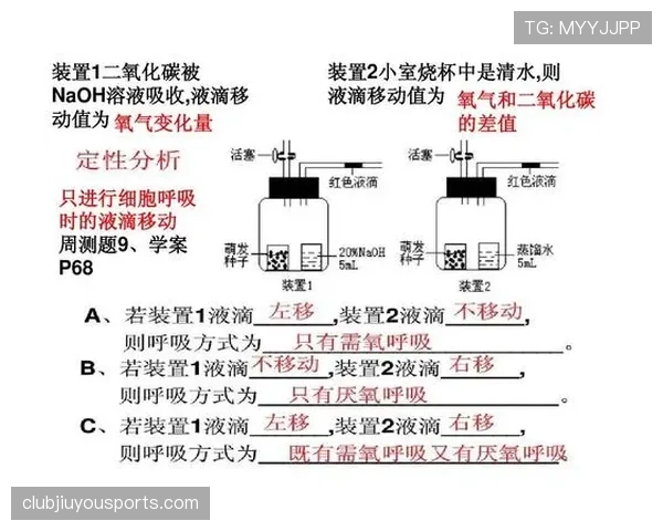 加时赛规则详解：何时启用、如何进行及对比赛结果的影响